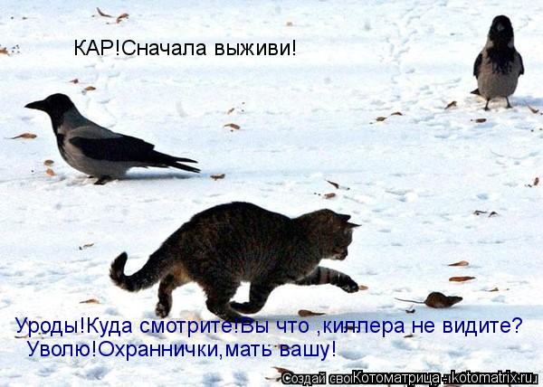 Уроды!Куда смотрите!Вы что ,киллера не видите? Уволю!Охраннички,мать вашу! КАР!Сначала выживи!... Котоматрица: Уроды!Куда смотрите!Вы что ,киллера не видите? Уволю!Охраннички,мать вашу! КАР!Сначала выживи!