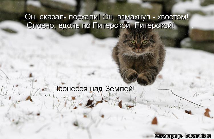 Он, сказал- поехали! Он, взмахнул - хвостом! Словно, вдоль по Питерской, Питерской! Пронесся над Земл... Котоматрица: Он, сказал- поехали! Он, взмахнул - хвостом! Словно, вдоль по Питерской, Питерской! Пронесся над Землей!