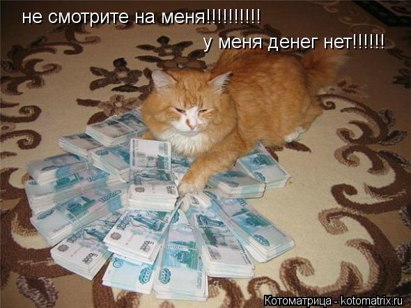 Котоматрица: не смотрите на меня!!!!!!!!!! у меня денег нет!!!!!!