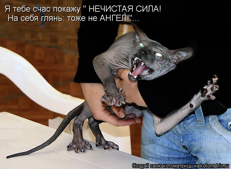 Котоматрица: Я тебе счас покажу " НЕЧИСТАЯ СИЛА!  На себя глянь: тоже не АНГЕЛ!"...