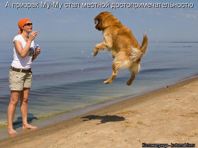 А призрак Му-Му стал местной достопримечательностю... Котоматрица: А призрак Му-Му стал местной достопримечательностю