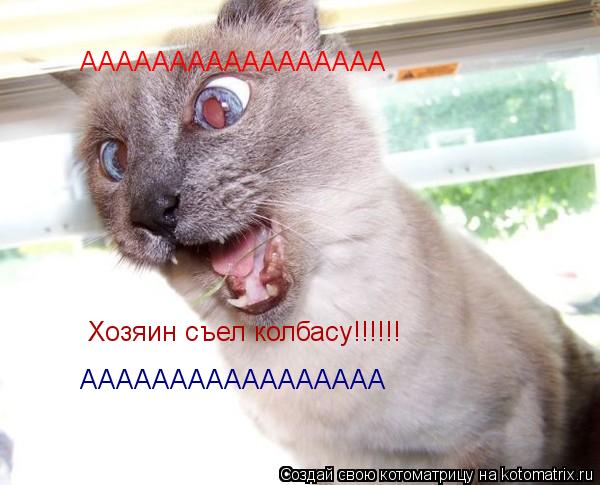 Котоматрица: ААААААААААААААААА Хозяин съел колбасу!!!!!! ААААААААААААААААА
