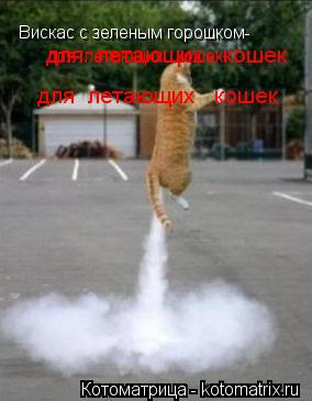 Котоматрица: Вискас с зеленым горошком- для  летающих   кошек для  летающих   кошек для  летающих   кошек для  летающих   кошек