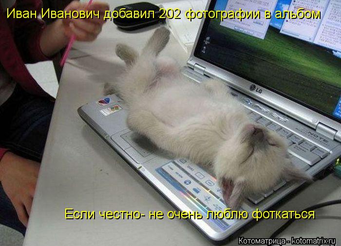 Котоматрица: Иван Иванович добавил 202 фотографии в альбом « Если честно- не очень люблю фоткаться»