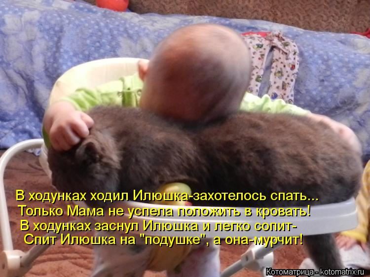 Котоматрица: В ходунках ходил Илюшка-захотелось спать... Только Мама не успела положить в кровать! В ходунках заснул Илюшка и легко сопит- Спит Илюшка на "