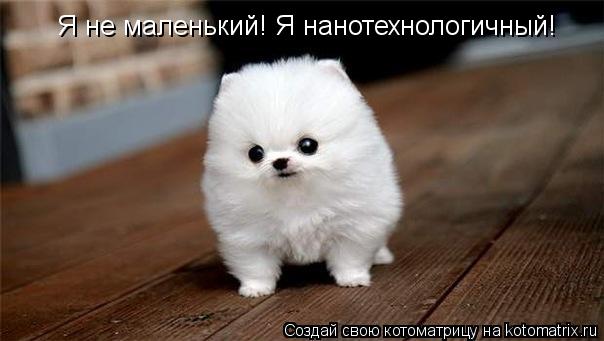Котоматрица: Я не маленький! Я нанотехнологичный!