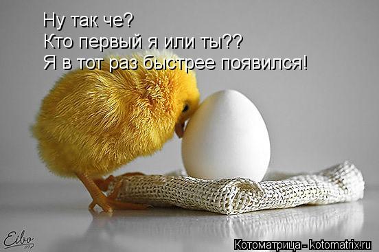 Котоматрица: Ну так че? Кто первый я или ты?? Я в тот раз быстрее появился!