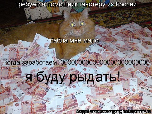 Котоматрица: требуется помощник ганстеру из России бабла мне мало когда заработаем10000000000000000000000000 я буду рыдать!