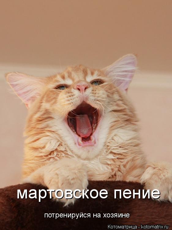 Котоматрица: мартовское пение потренируйся на хозяине
