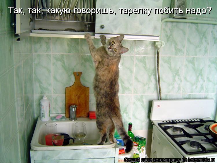 Котоматрица: Так, так, какую говоришь, тарелку побить надо?