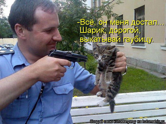 Котоматрица: -Всё, он меня достал... Шарик, дорогой, выкатывай гаубицу.