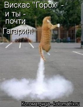 Котоматрица: Вискас "Горох" - и ты - почти Гагарин!