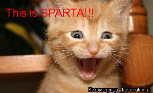 Котоматрица: This is SPARTA!!!
