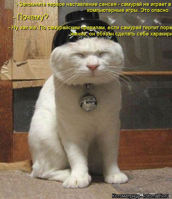 Котоматрица: - Запомните первое наставление сенсея - самурай не играет в компьютерные игры. Это опасно. компьютерные игры. Это опасно. - Почему? - Ну, как же