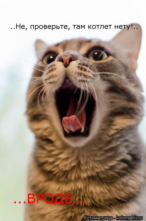 ..Не, проверьте, там котлет нету!.. ...ВРОДЕ...... Котоматрица: ..Не, проверьте, там котлет нету!.. ...ВРОДЕ...