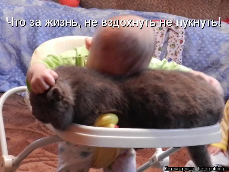 Котоматрица: Что за жизнь, не вздохнуть не пукнуть!