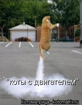 "коты с двигателем"... Котоматрица: "коты с двигателем"