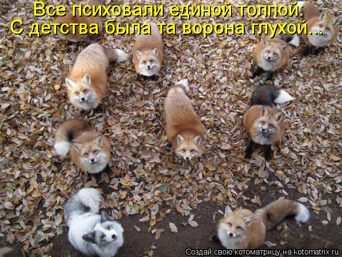 Все психовали единой толпой: С детства была та ворона глухой...... Котоматрица: Все психовали единой толпой: С детства была та ворона глухой...