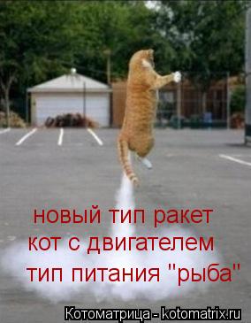 тип питания "рыба" новый тип ракет кот с двигателем... Котоматрица: тип питания "рыба" новый тип ракет кот с двигателем