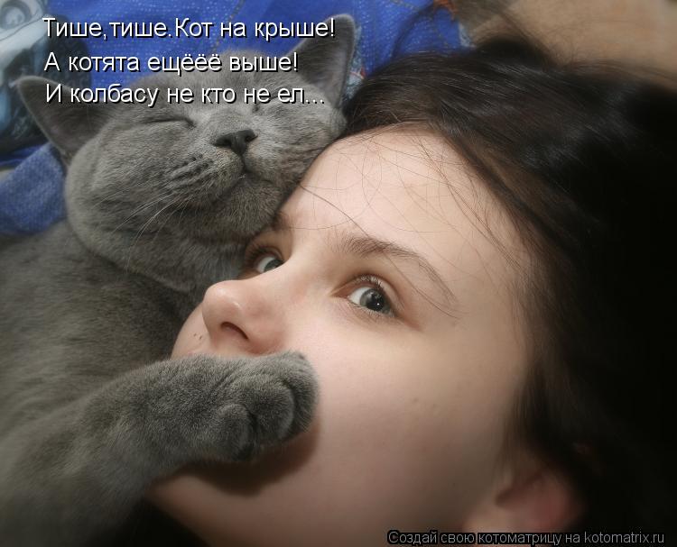 Котоматрица: Тише,тише.Кот на крыше! А котята ещёёё выше! И колбасу не кто не ел...