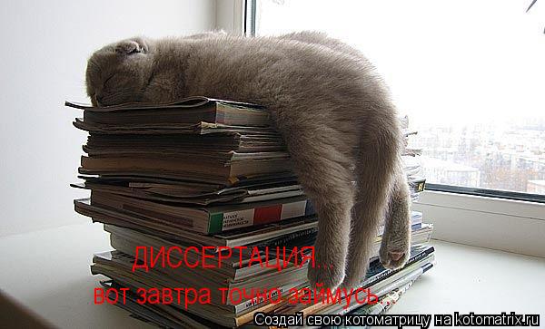 ДИССЕРТАЦИЯ... вот завтра точно займусь... ДИССЕРТАЦИЯ...... Котоматрица: ДИССЕРТАЦИЯ... вот завтра точно займусь... ДИССЕРТАЦИЯ...
