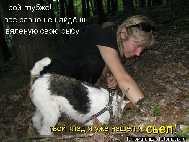 Котоматрица: рой глубже! сьел! все равно не найдёшь  твой клад я уже нашёл и вяленую свою рыбу !