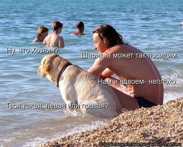 Ну, что Хозяин? Твоя какая, левая или правая? Шарик, а может так посидим, Нам и вдвоем- неплохо..... Котоматрица: Ну, что Хозяин? Твоя какая, левая или правая? Шарик, а может так посидим, Нам и вдвоем- неплохо..