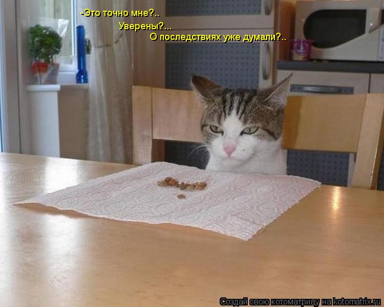Котоматрица: -Это точно мне?.. Уверены?... О последствиях уже думали?..