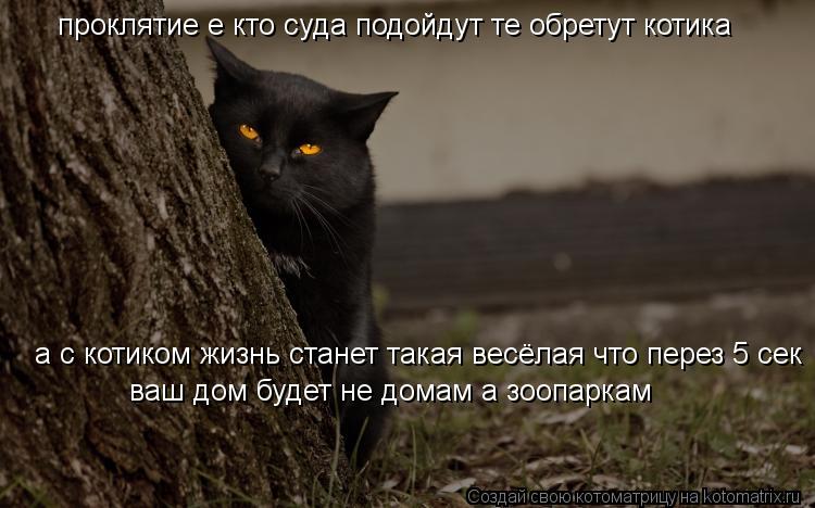 Котоматрица: проклятие е кто суда подойдут те обретут котика  а с котиком жизнь станет такая весёлая что перез 5 сек ваш дом будет не домам а зоопаркам