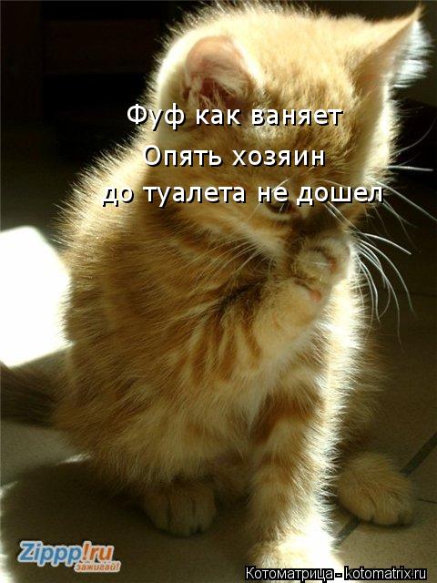 Котоматрица: Фуф как ваняет Опять хозяин до туалета не дошел