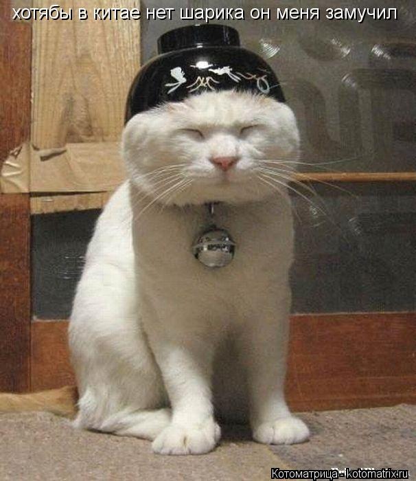 Котоматрица: хотябы в китае нет шарика он меня замучил