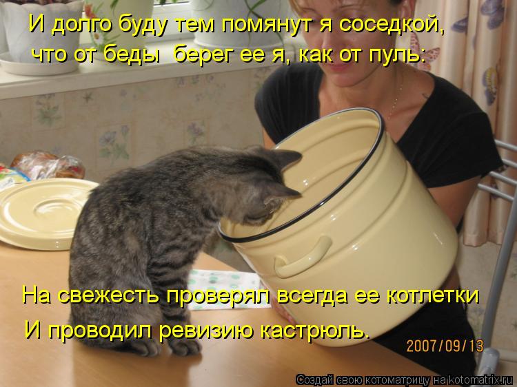На свежесть проверял всегда ее котлетки И проводил ревизию кастрюль. И долго буду тем помянут я сосед... Котоматрица: На свежесть проверял всегда ее котлетки И проводил ревизию кастрюль. И долго буду тем помянут я соседкой, что от беды берег ее я, как от пул