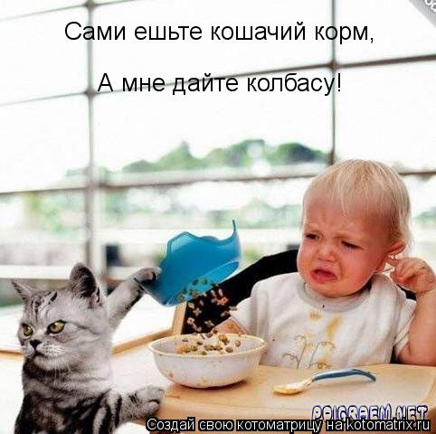 Котоматрица: Сами ешьте кошачий корм, А мне дайте колбасу!