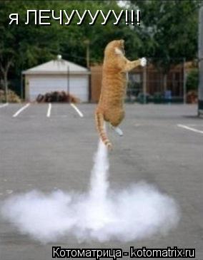 Котоматрица: я ЛЕЧУУУУУ!!!