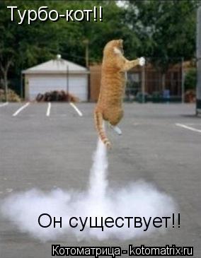 Котоматрица: Турбо-кот!!  Он существует!!
