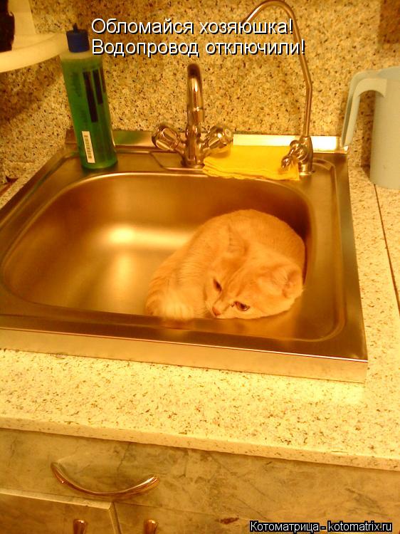 Котоматрица: Обломайся хозяюшка! Водопровод отключили!