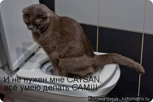 Котоматрица: И не нужен мне CATSAN, всё умею делать САМ!!!
