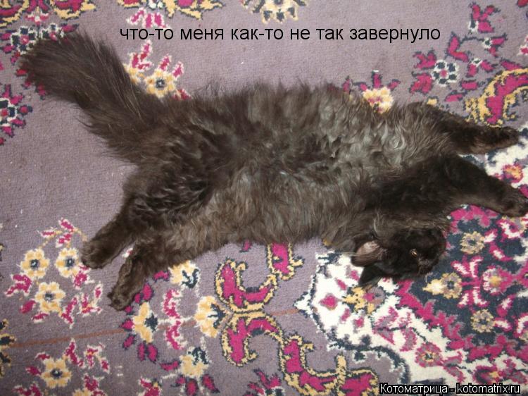 Котоматрица: что-то меня как-то не так завернуло