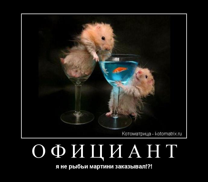 Котоматрица: официант я не рыбьи мартини заказывал!?!