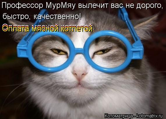 Профессор МурМяу вылечит вас не дорого, быстро, качественно! Оплата мясной котлетой. Оплата мясной ко... Котоматрица: Профессор МурМяу вылечит вас не дорого, быстро, качественно! Оплата мясной котлетой. Оплата мясной котлетой. Оплата мясной котлетой.