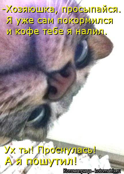 -Хозяюшка, просыпайся. Я уже сам покормился и кофе тебе я налил. Ух ты! Проснулась! А я пошутил!... Котоматрица: -Хозяюшка, просыпайся. Я уже сам покормился и кофе тебе я налил. Ух ты! Проснулась! А я пошутил!
