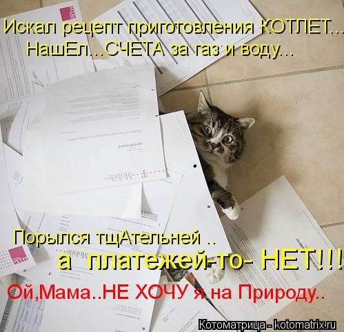 Котоматрица: Искал рецепт приготовления КОТЛЕТ... НашЕл...СЧЕТА за газ и воду... Порылся тщАтельней .. а  платежей-то- НЕТ!!! Ой,Мама..НЕ ХОЧУ я на Природу..