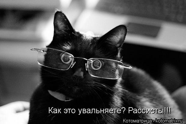 Котоматрица: Как это увальняете? Рассисты!!!