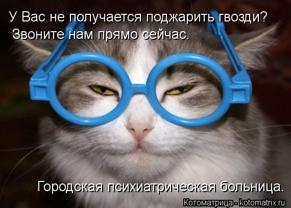 Котоматрица: У Вас не получается поджарить гвозди?  Звоните нам прямо сейчас. Городская психиатрическая больница.