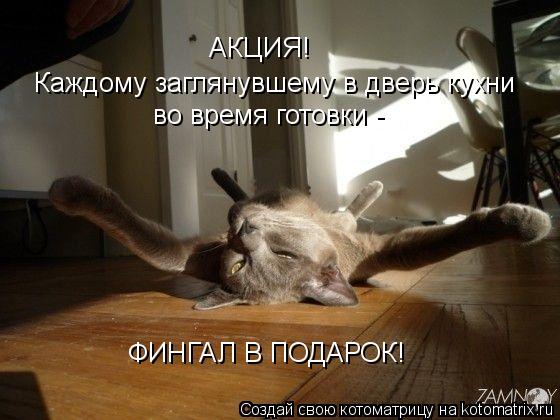 Котоматрица: АКЦИЯ! Каждому заглянувшему в дверь кухни во время готовки - ФИНГАЛ В ПОДАРОК!