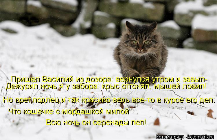 Котоматрица: Пришел Василий из дозора: вернулся утром и завыл- Дежурил ночь я у забора: крыс отгонял, мышей ловил! Но врет,подлец,и так красиво:ведь все-то 