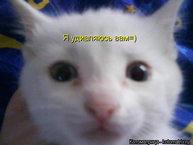 Я удивляюсь вам=)... Котоматрица: Я удивляюсь вам=)