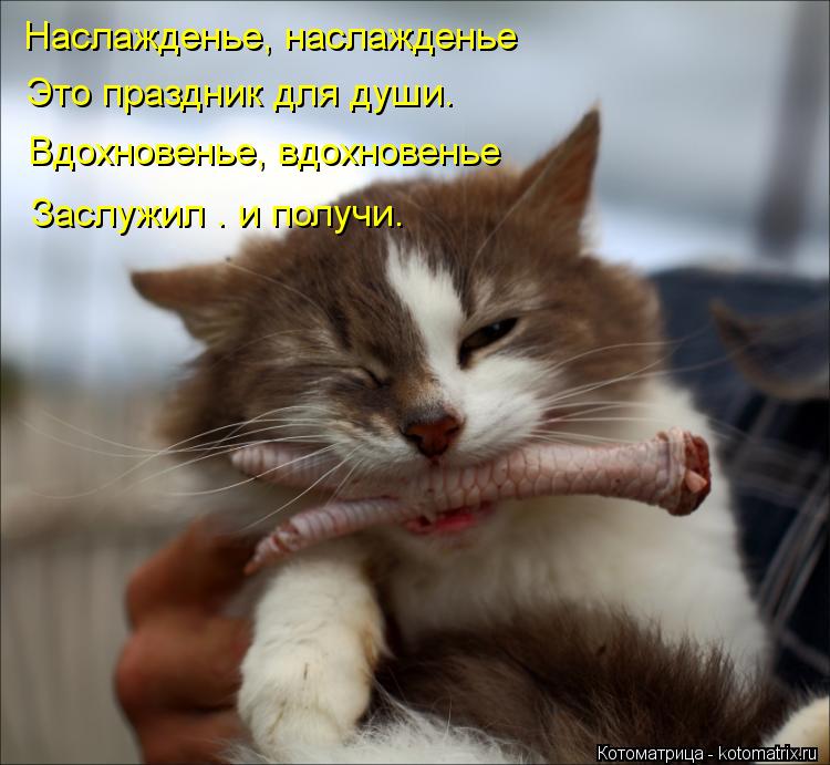 Наслажденье, наслажденье Это праздник для души. Вдохновенье, вдохновенье Заслужил – и получи.... Котоматрица: Наслажденье, наслажденье Это праздник для души. Вдохновенье, вдохновенье Заслужил – и получи.
