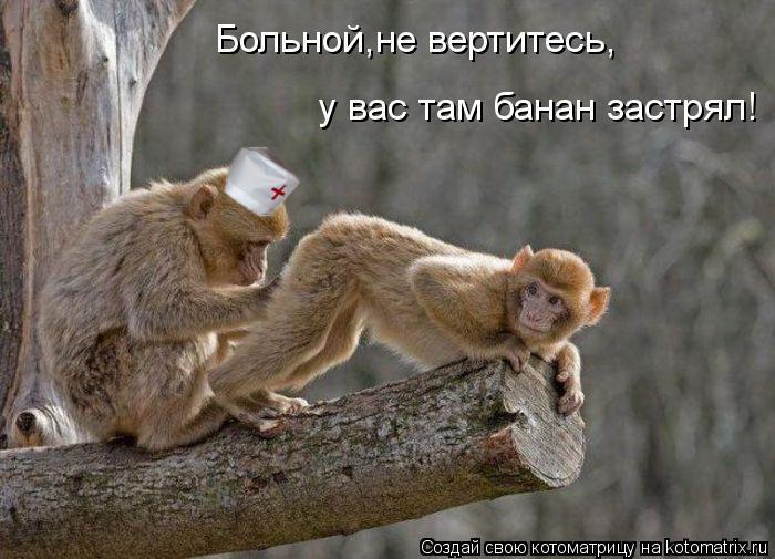 Котоматрица: Больной,не вертитесь, у вас там банан застрял!