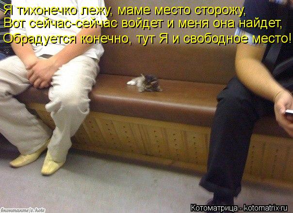 Я тихонечко лежу, маме место сторожу, Вот сейчас-сейчас войдет и меня она найдет, Обрадуется конечно,... Котоматрица: Я тихонечко лежу, маме место сторожу, Вот сейчас-сейчас войдет и меня она найдет, Обрадуется конечно, тут Я и свободное место!